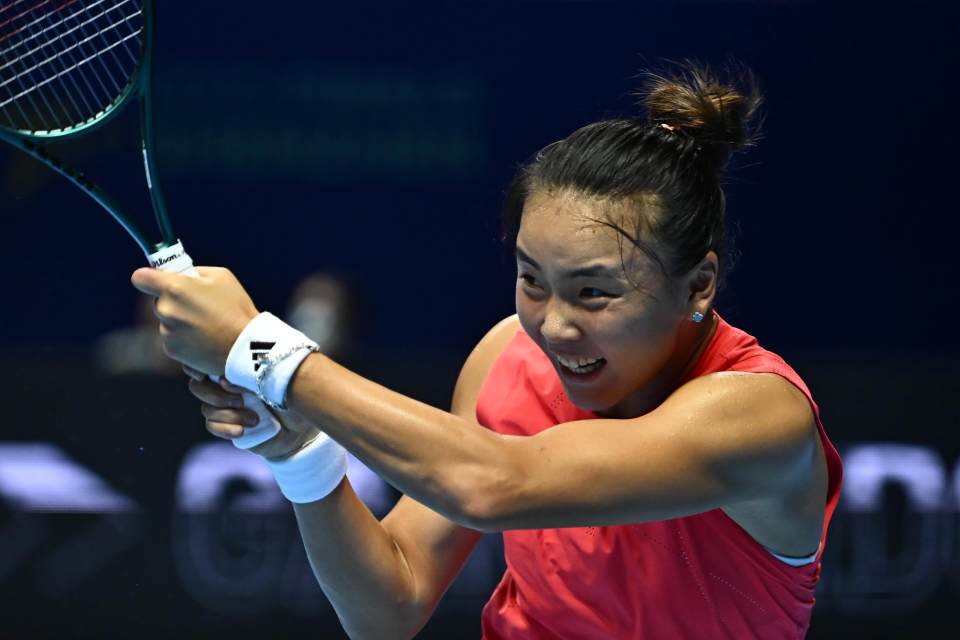 王欣瑜与世, WgpJp, https